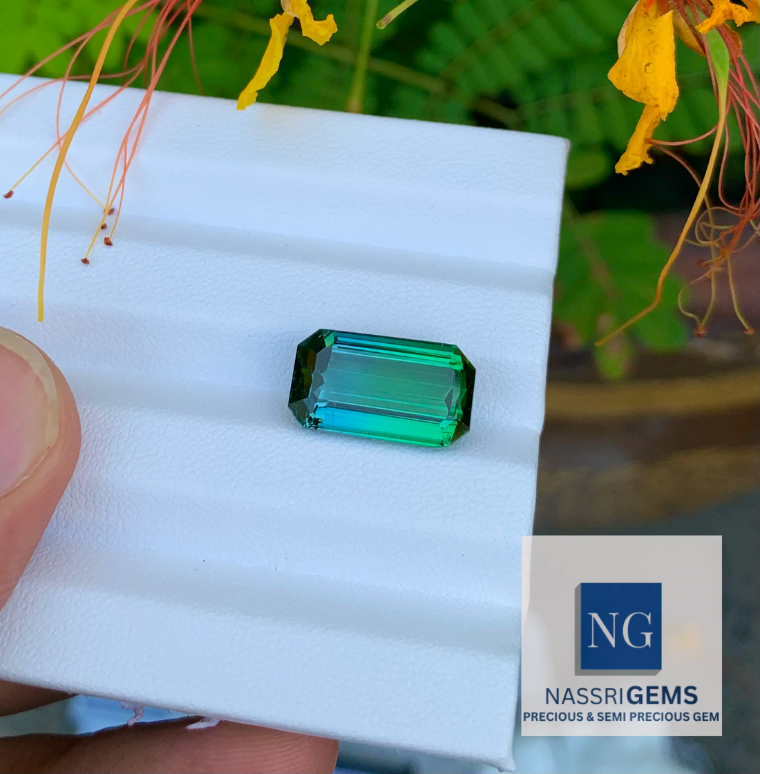 10.22 Carat Bi-Colour Tourmaline Stone - Buy Now at Best Price!