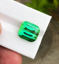 mint green tourmaline gemstone drawing
mint green tourmaline gemstone diamond
mint green tourmaline gemstone design
mint green tourmaline gemstone dragons
mint green tourmaline gemstone dice
